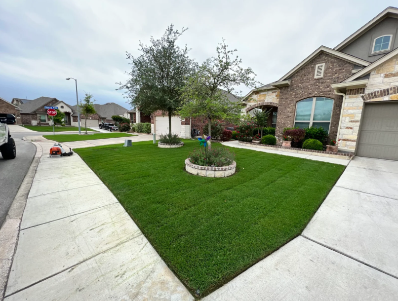Creating the Perfect Outdoor Space with San Antonio Yard Service Experts