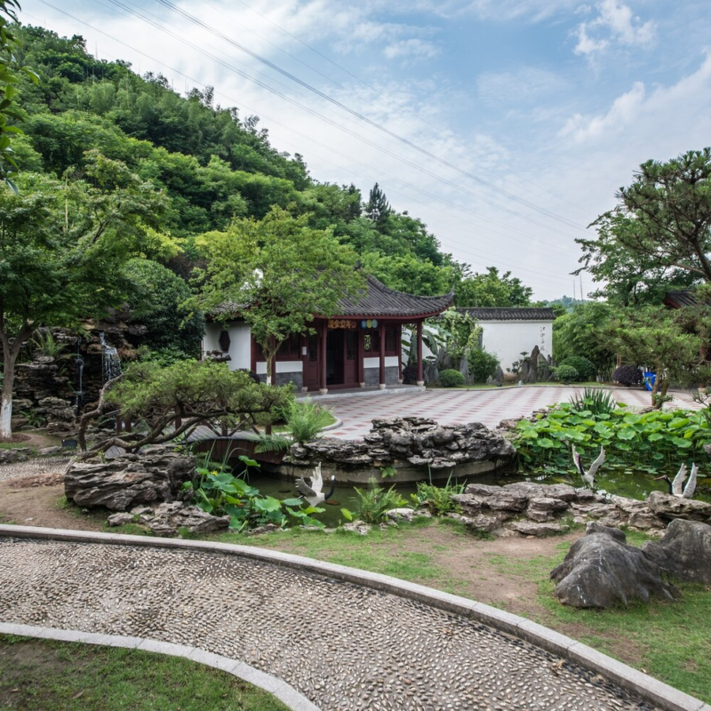 Landscape Drainage Solutions Protect Yards in San Antonio