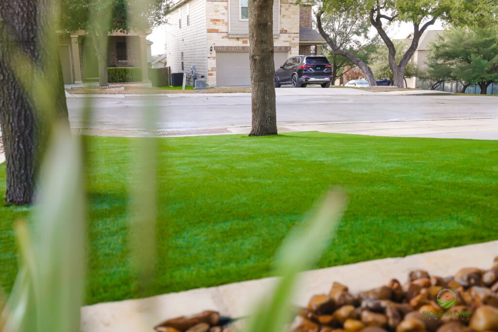 Premium Artificial Turf & Putting Greens