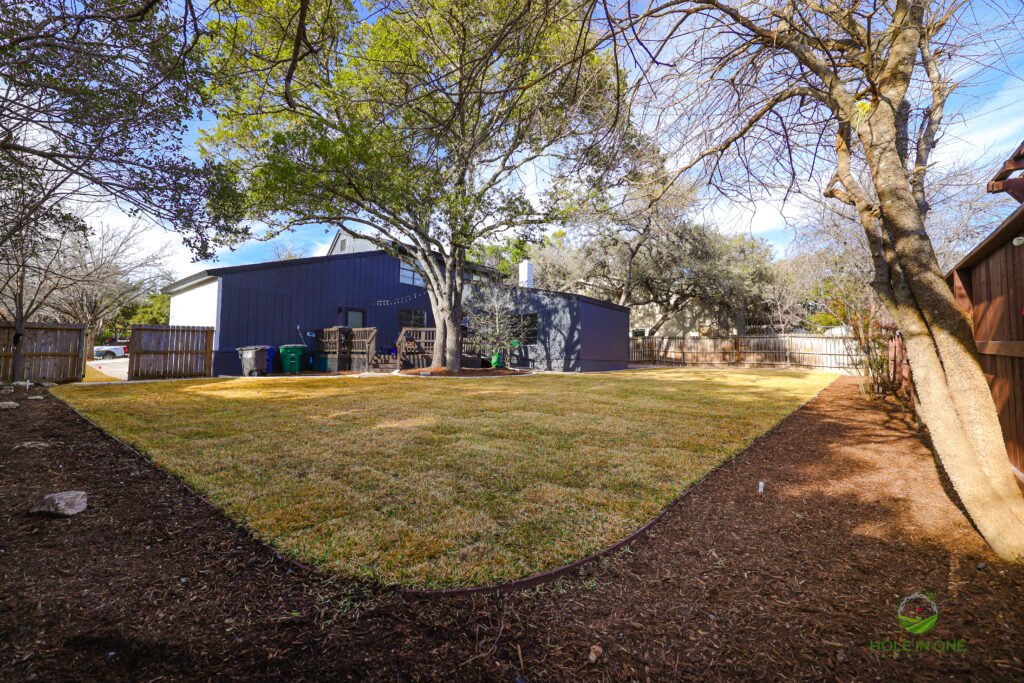 Finished backyard lawn with landscaping