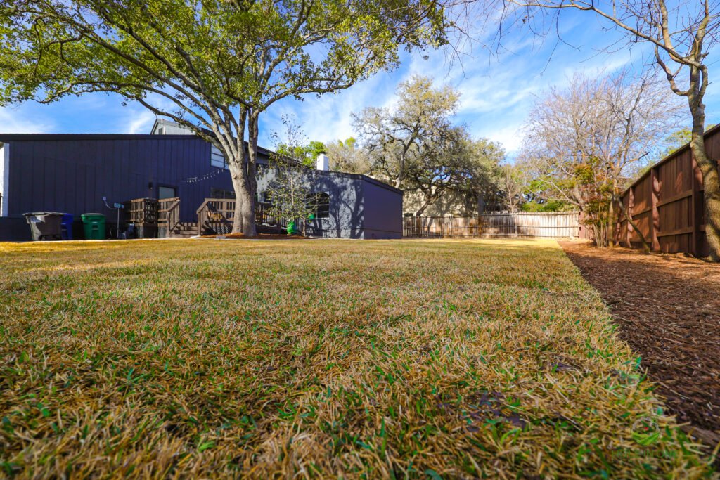 Backyard lawn after sod installation
