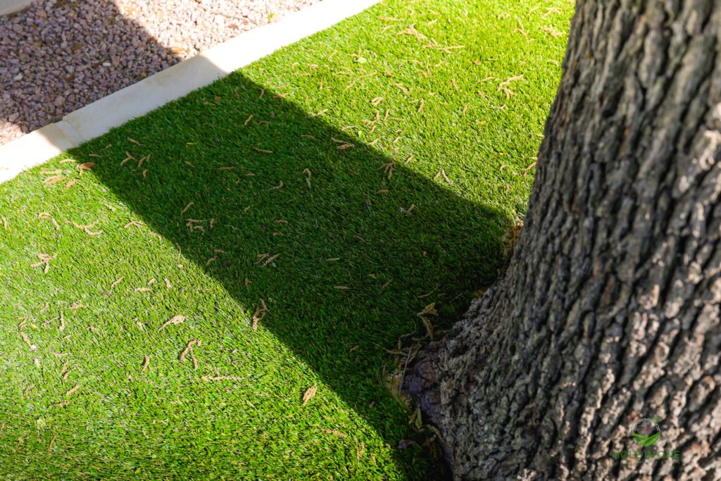 Backyard Built to Enjoy