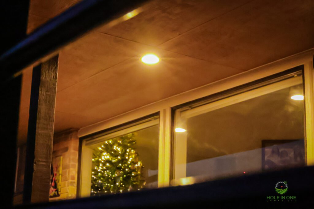 Backyard landscape illumination