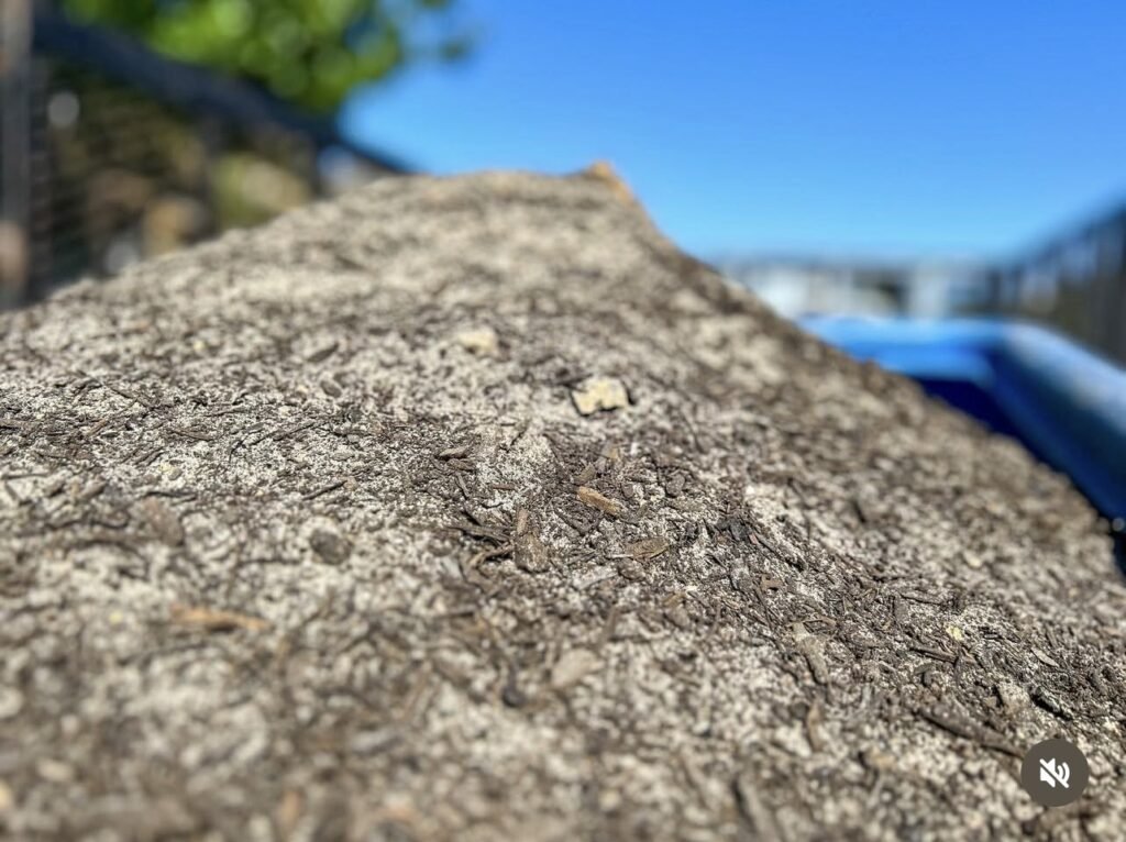 Close-up of sand and soil mix for landscaping