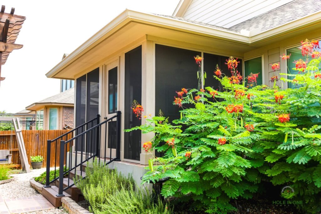 down-net_http20260317-147-qwqom8 Home backyard with garden area