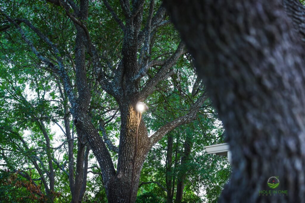 Subtle garden lighting