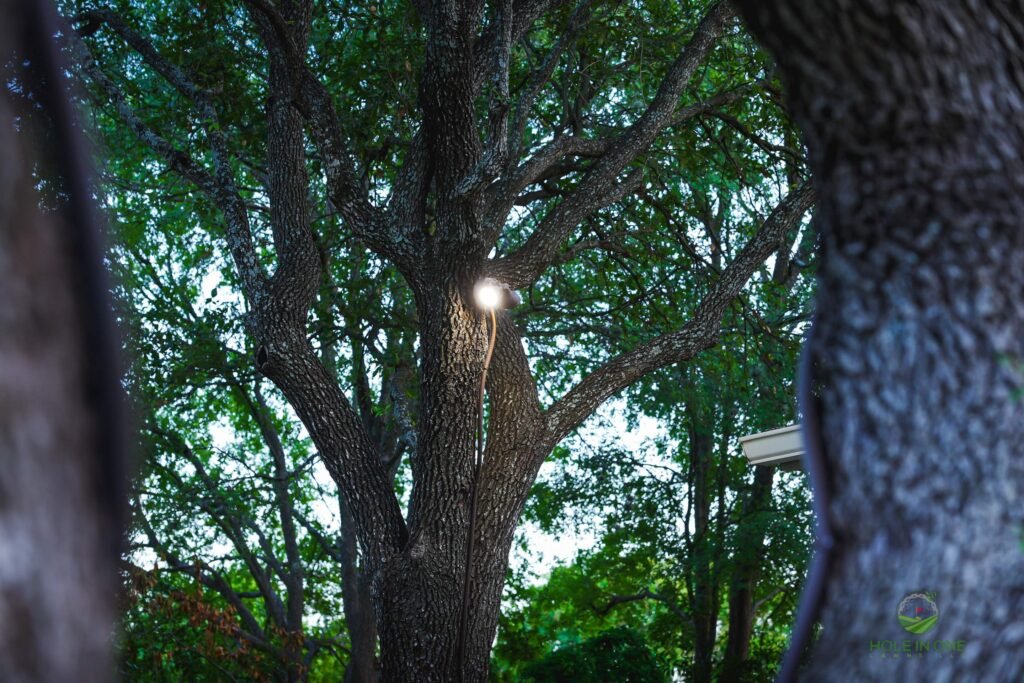 Pathway lights at night
