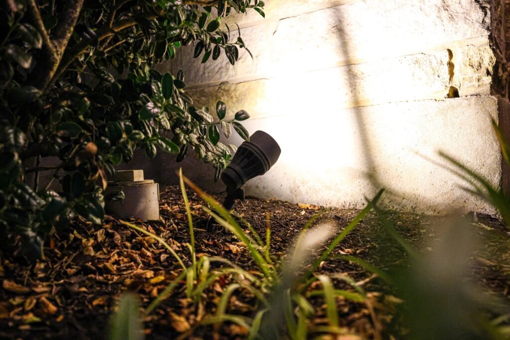 Garden accent lighting