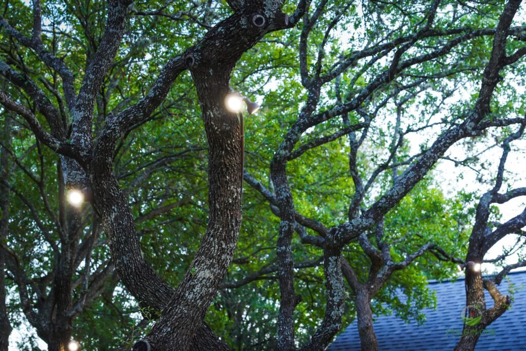 Lawn pathway lighting