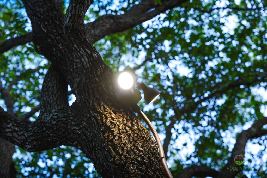 Landscape pathway lights