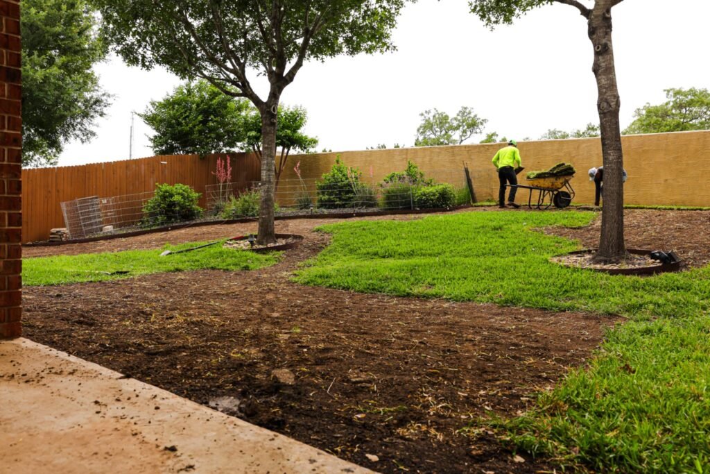Sod installation in backyard