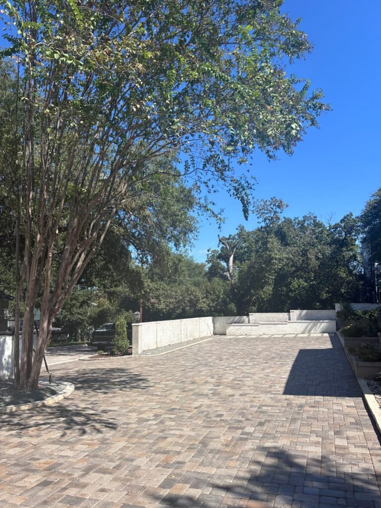 Large interlocking paver courtyard with crape myrtle and white garden walls in Alamo Heights, San Antonio