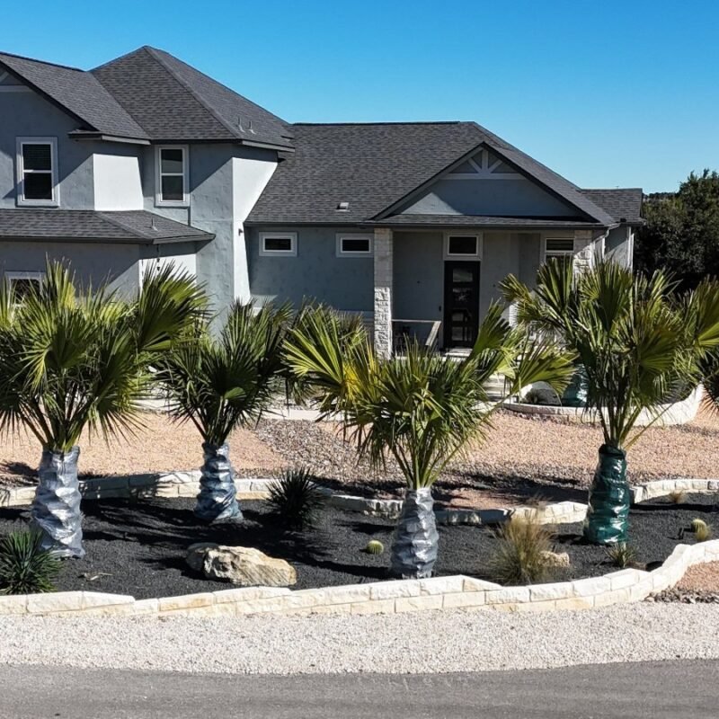 Front-yard xeriscape with curved limestone-bordered beds, palms, boulders and agaves at a Canyon Lake, TX home