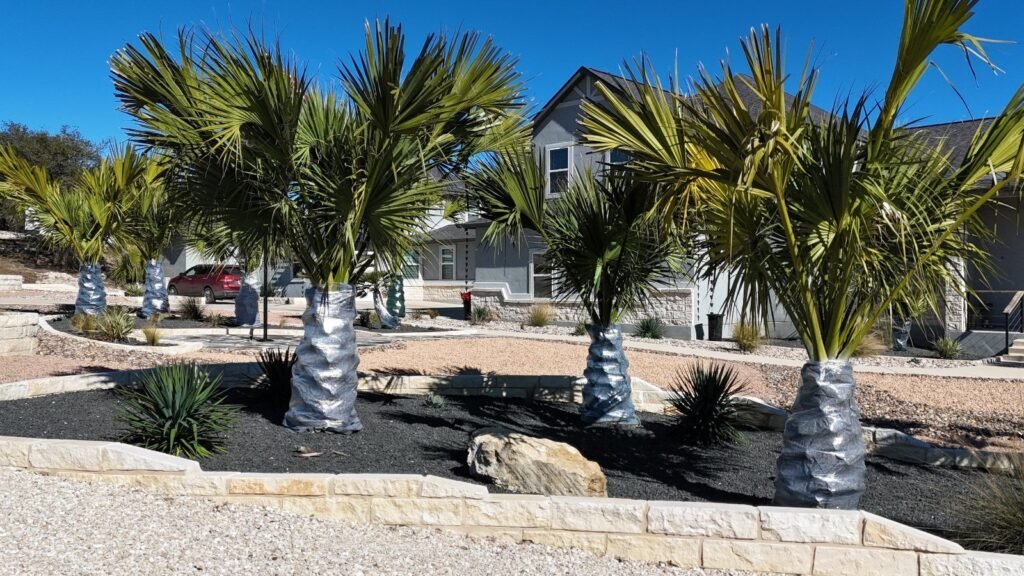 Palm and agave beds with limestone chop-block edging in Canyon Lake, TX